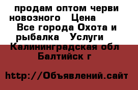 продам оптом черви новозного › Цена ­ 600 - Все города Охота и рыбалка » Услуги   . Калининградская обл.,Балтийск г.